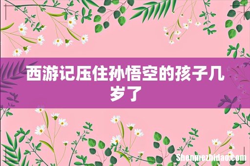 西游记压住孙悟空的孩子几岁了
