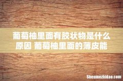 葡萄柚里面有胶状物是什么原因 葡萄柚里面的薄皮能吃吗