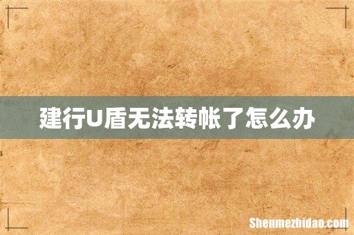 建行U盾无法转帐了怎么办