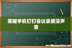 荣耀手机钉钉会议录屏没声音