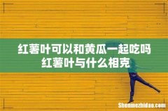 红薯叶可以和黄瓜一起吃吗 红薯叶与什么相克