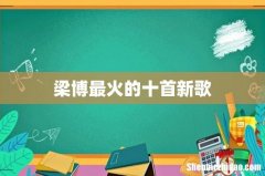 梁博最火的十首新歌