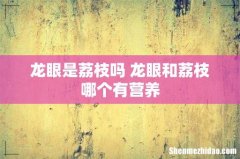 龙眼是荔枝吗 龙眼和荔枝哪个有营养