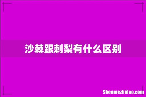 沙棘跟刺梨有什么区别