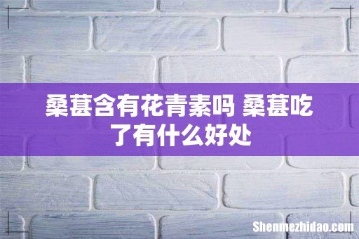 桑葚含有花青素吗 桑葚吃了有什么好处