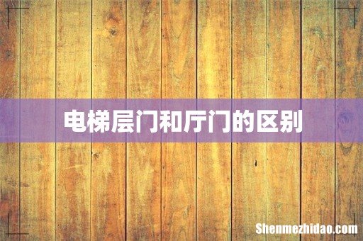 电梯层门和厅门的区别