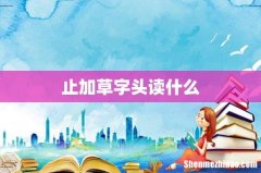 止加草字头读什么