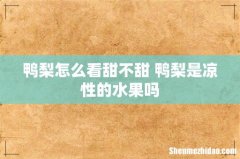 鸭梨怎么看甜不甜 鸭梨是凉性的水果吗
