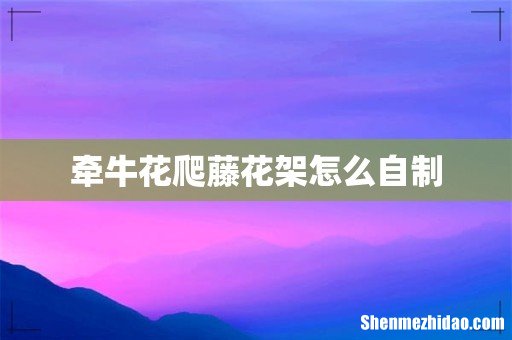 牵牛花爬藤花架怎么自制