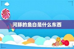 河豚的鱼白是什么东西