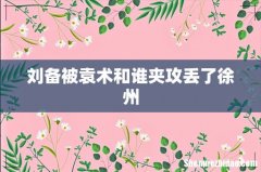 刘备被袁术和谁夹攻丢了徐州