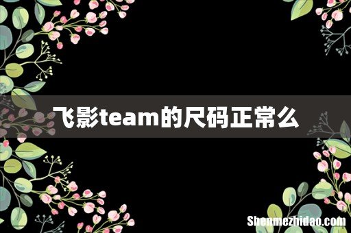 飞影team的尺码正常么