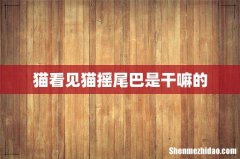 猫看见猫摇尾巴是干嘛的