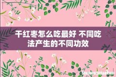 干红枣怎么吃最好 不同吃法产生的不同功效