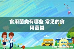 食用菌类有哪些 常见的食用菌类