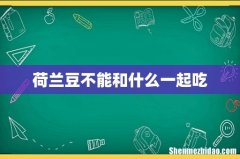 荷兰豆不能和什么一起吃