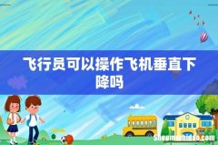 飞行员可以操作飞机垂直下降吗