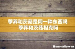 荸荠和茨菇是同一种东西吗 荸荠和茨菇相克吗