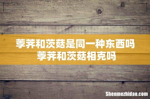 荸荠和茨菇是同一种东西吗 荸荠和茨菇相克吗