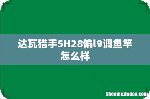 达瓦猎手5H28偏l9调鱼竿怎么样