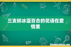 三支碎冰蓝百合的花语在爱情里