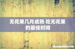 无花果几月成熟 吃无花果的最佳时间