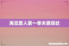 再见爱人第一季夫妻现状