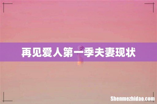 再见爱人第一季夫妻现状