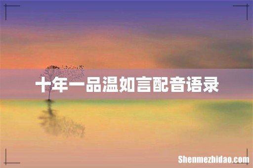 十年一品温如言配音语录