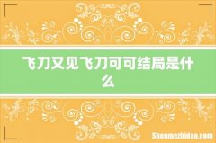 飞刀又见飞刀可可结局是什么