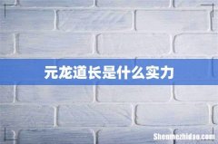元龙道长是什么实力