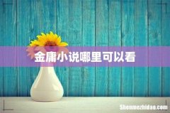金庸小说哪里可以看