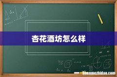 杏花酒坊怎么样