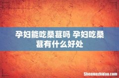 孕妇能吃桑葚吗 孕妇吃桑葚有什么好处