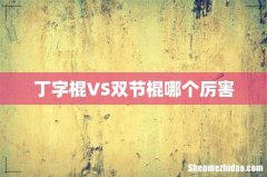 丁字棍VS双节棍哪个厉害
