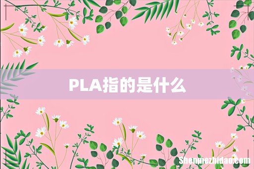 PLA指的是什么
