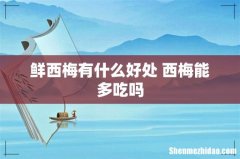 鲜西梅有什么好处 西梅能多吃吗