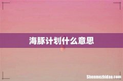 海豚计划什么意思