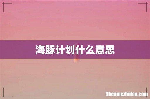 海豚计划什么意思