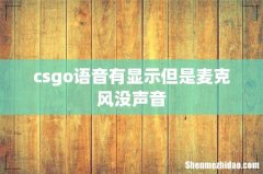 csgo语音有显示但是麦克风没声音