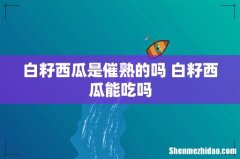 白籽西瓜是催熟的吗 白籽西瓜能吃吗