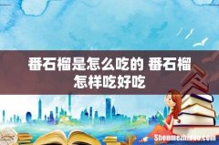 番石榴是怎么吃的 番石榴怎样吃好吃