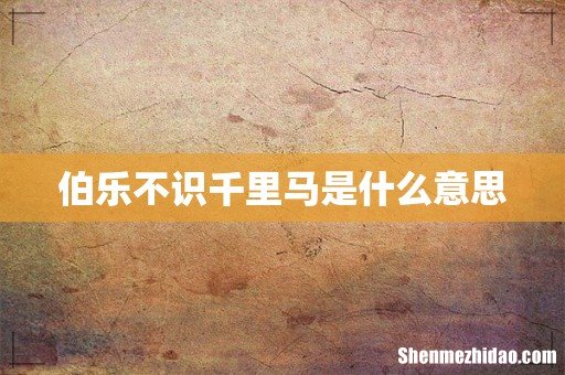 伯乐不识千里马是什么意思