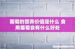 葡萄的营养价值是什么 食用葡萄会有什么好处
