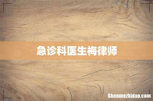 急诊科医生梅律师