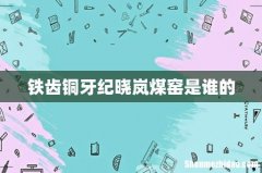 铁齿铜牙纪晓岚煤窑是谁的