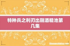特种兵之利刃出鞘酒精池第几集