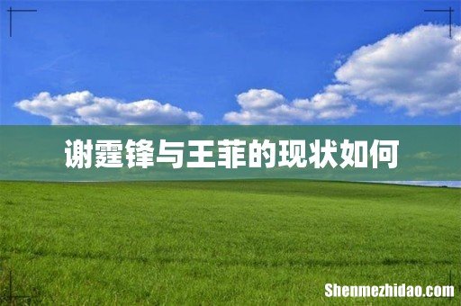 谢霆锋与王菲的现状如何