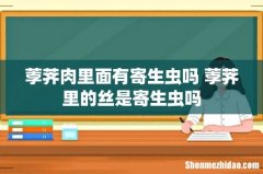 荸荠肉里面有寄生虫吗 荸荠里的丝是寄生虫吗