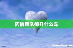 阿厦团队都开什么车